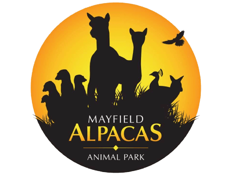 Mayfield Alpacas Animal Park