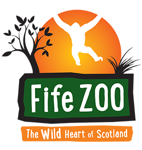 Fife Zoo